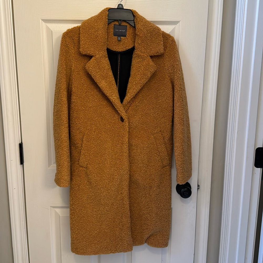 The Limited Teddy bear coat. Great for winter!